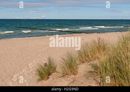 Dunes de sable et plage de Zingst, sur la mer Baltique, la péninsule de Darss, Mecklembourg Poméranie occidentale, Allemagne. Banque D'Images