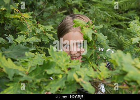 Jeune fille se cachant parmi les feuilles de chêne Kelling Norfolk summer Banque D'Images