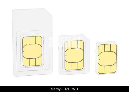 Mini, micro, nano cartes sim, 3D Rendering isolé sur fond blanc Banque D'Images