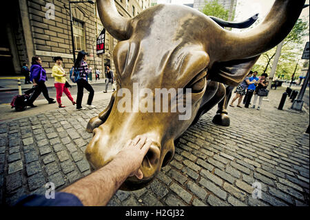 Toucher le nez de la statue de taureau de charge, alias Wall Street Bull, New York Banque D'Images