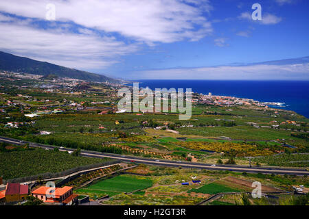 Vue sur la vallée de la Orotava, le Mont Teide et Puerto de la Cruz, Tenerife, Canaries, Espagne Banque D'Images