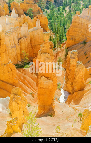 Le marteau de Thor près de Sunset Point, Bryce Canyon National Park, Utah, USA Banque D'Images