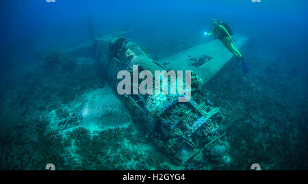 Scuba Diver explore un Grumman F6F Hellcat abattu des avions pendant la Seconde Guerre mondiale dans le pacifique des conflits. Banque D'Images