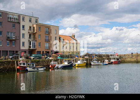 Les bateaux de pêche amarrés dans le port clos. Burgh Royal St Andrews, Fife, Scotland, UK, Grande-Bretagne Banque D'Images