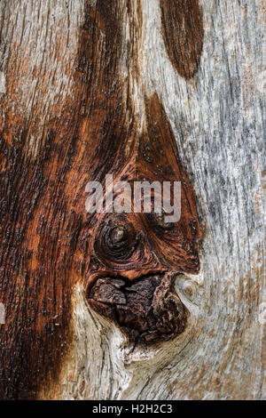 Holz, détail | Bois, détail Banque D'Images