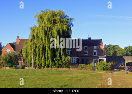 Saule pleureur en Chalet jardin par la Tamise à Abingdon Banque D'Images