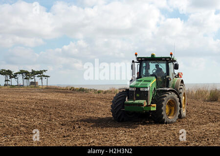 Les terres agricoles à proximité de la mer du Nord d'être cultivé, Bawdsey, Suffolk, UK. Banque D'Images