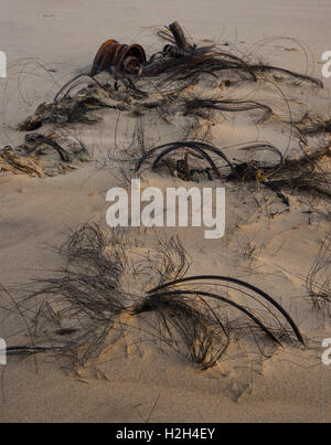 Déchets industriels et litière sur la plage près de Steetley Pier, Hartlepool, Teesside, nord-est de l'Angleterre, Royaume-Uni Banque D'Images