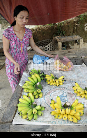 Femme vendant des bananes sur le bord de la route dans le nord du Vietnam Banque D'Images