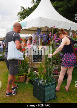 Deux visiteurs un homme et une femme de race blanche, d'admirer l'exposition organisée par des plantes, le jardin du presbytère à Tatton Park Flower Show, Cheshire, 2016. Banque D'Images