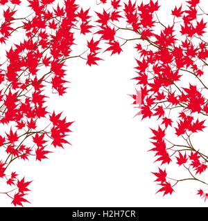 Carte de vœux. Feuilles d'érable rouges sur les branches de chaque côté. L'érable rouge du Japon sur un fond blanc illustration Illustration de Vecteur