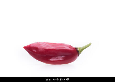 Spicy hot chili peppers sur fond blanc Banque D'Images