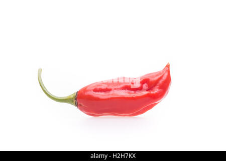 Spicy hot chili peppers sur fond blanc Banque D'Images