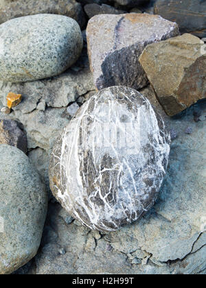 Détail d'un cailloux glaciaires, près de McCarthy, de l'Alaska. Banque D'Images