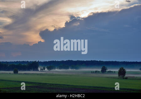 Paysage du village avec des stries de brume en Pologne Banque D'Images