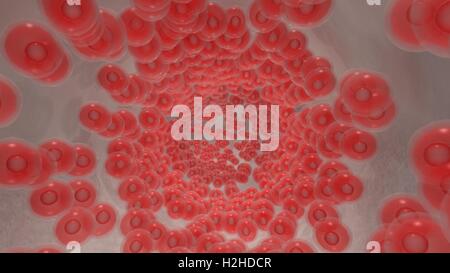 Vue endoscopique de couler de globules rouges dans un greffon Banque D'Images