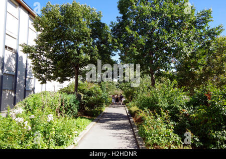 France Paris promenade plantée, jardin sur viaduc. Banque D'Images