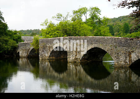 Les cinq-arquée pont de pierre sur la rivière Leven, Newby Bridge Lake District, Cumbria, Royaume-Uni. Banque D'Images