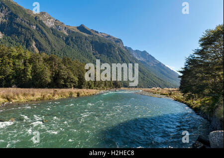 Mackay Creek, Parc National de Fiordland, le nord du Fiordland, surplombant la vallée d'Eglinton, sur le Milford Road, New Zealand Banque D'Images