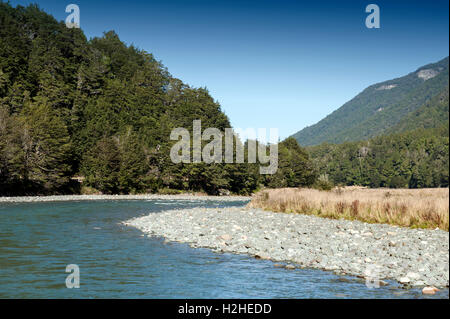 Mackay Creek, Parc National de Fiordland, le nord du Fiordland, surplombant la vallée d'Eglinton, sur le Milford Road, New Zealand Banque D'Images