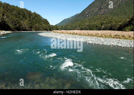 Mackay Creek, Parc National de Fiordland, le nord du Fiordland, surplombant la vallée d'Eglinton, sur le Milford Road, New Zealand Banque D'Images