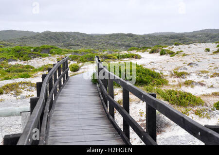 Trottoir de bois dans la roche calcaire bluff et vert dunes à Falaise Blanche Point de la côte de la Baie d'Hamelin, l'ouest de l'Australie Banque D'Images