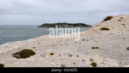 Roche de calcaire blanc à Bluff Point falaise donnant sur une île dans le grand océan du Sud à Hamelin Bay, Australie occidentale Banque D'Images