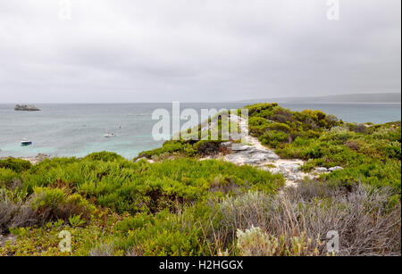 White cliff point donnant sur le grand océan du Sud avec la pierre calcaire et la flore à Hamelin Bay, en Australie occidentale. Banque D'Images