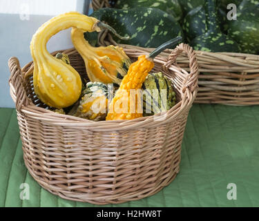 Panier de gourdes à vendre au marché agricole de Hillhurst Sunnyside en automne, Calgary, Canada Banque D'Images