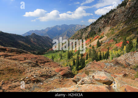 L'automne dans les montagnes, de l'Utah Banque D'Images