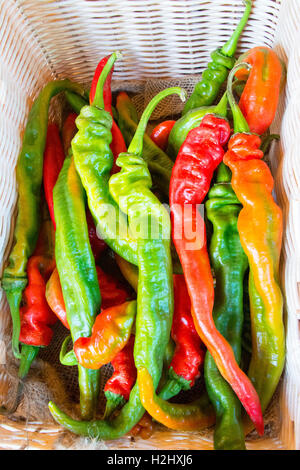 Long Hot Peppers Banque D'Images