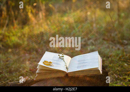 Cahier de poésie avec les feuilles tombées et fleur sur elle Banque D'Images