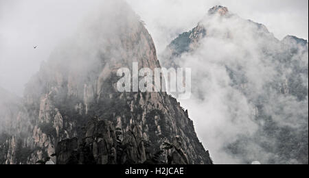 L'enveloppe de nuages à sommets Huangshan Parc national en Chine pour créer ce coup spectaculaire. Un oiseau vole à travers la brume. Banque D'Images