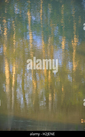 L'automne arbres se reflétant dans l'eau Banque D'Images