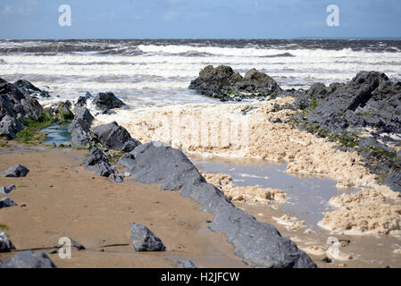 Les vagues et la mousse sur la façon sauvage de l'Atlantique dans le comté de Kerry Ballybunion Irlande Banque D'Images