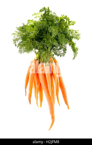 Légumes Carottes avec feuilles isolées sur fond blanc dentelle Banque D'Images