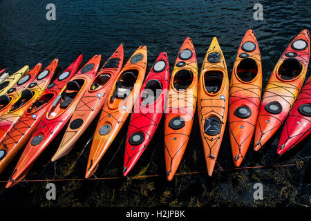 Close up colorful abstract pattern d'une rangée de kayaks, Rockport, Massachusetts, États-Unis d'Amérique, l'Angleterre, l'Amérique, fichier sz 11.05Mo compressé, 300dpi Banque D'Images