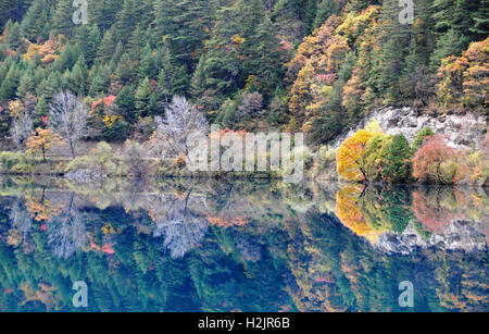 Admiration de la beauté de l'automne au lac de rhinocéros dans le Parc National de Jiuzhaigou, Chine. Banque D'Images