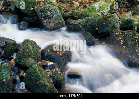 Close up sur les eaux tumultueuses de Burbage Brook, un ruisseau qui coule à travers la vallée rocheuse de Padley Gorge, Peak District, UK Banque D'Images