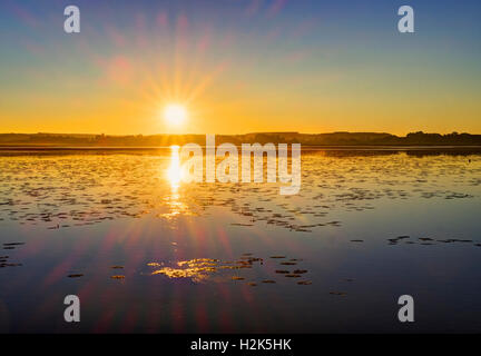 Lever du soleil sur le lac Federsee moor près de Bad Schussenried, en Haute Souabe, souabe, Bade-Wurtemberg, Allemagne Banque D'Images