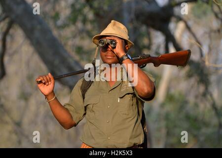 Guide avec des jumelles et un fusil sur un safari à pied, Mana Pools National Park, Zimbabwe, Province Mashonaland Ouest Banque D'Images