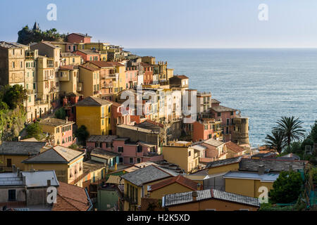 Maisons colorées de Manarola ville entassés sur une colline sur la côte de la mer Méditerranée, Riomaggiore, ligurie, italie Banque D'Images