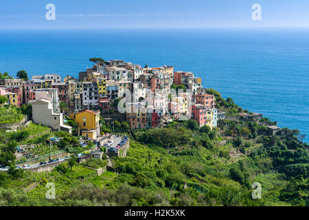 Maisons colorées de Manarola ville entassés sur une colline sur la côte de la mer Méditerranée, Riomaggiore, ligurie, italie Banque D'Images