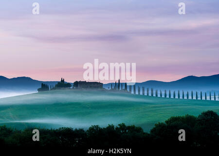 Vert typique du paysage toscan de Bagno Vignoni, Val d'Orcia avec une ferme sur une colline, les champs, les cyprès, les arbres et le brouillard du matin Banque D'Images