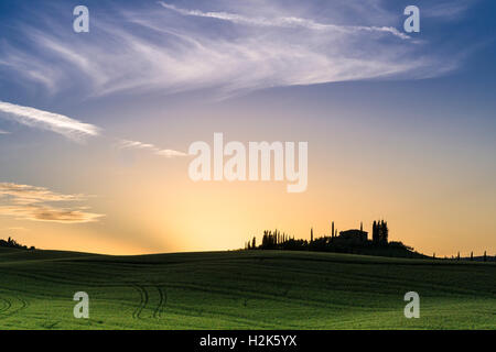 Vert typique du paysage toscan de Bagno Vignoni, Val d'Orcia avec une ferme sur une colline, des champs de céréales, de cyprès au coucher du soleil Banque D'Images