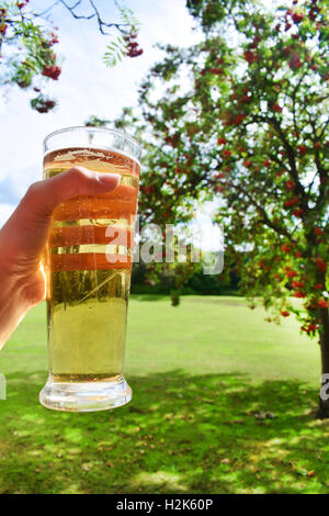 Le PNT de bière iina jardin sur un jour d'été Banque D'Images