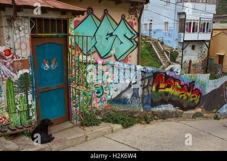 Art urbain Bâtiments décoration à Valparaiso Banque D'Images