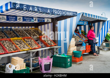 Marché local avec huitres et fruits de mer, Cancale, France, Union européenne, Europe Banque D'Images