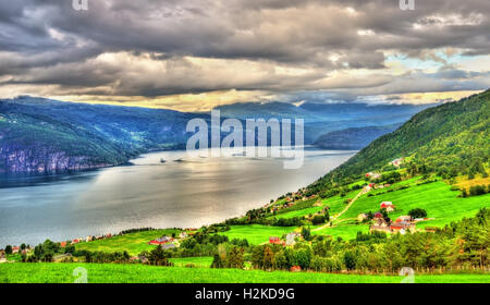 Avis de Nordfjorden fjord près de Balestrand en Norvège Banque D'Images