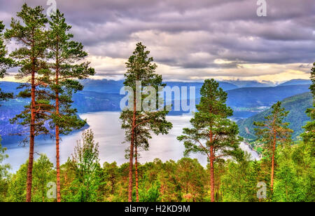 Avis de Nordfjorden fjord près de Balestrand en Norvège Banque D'Images